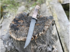 Нож Ягуар  (дамасская сталь, рукоять граб)