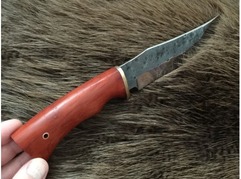 Нож Бухарский (сталь 95Х18, ручная ковка, рукоять падук)